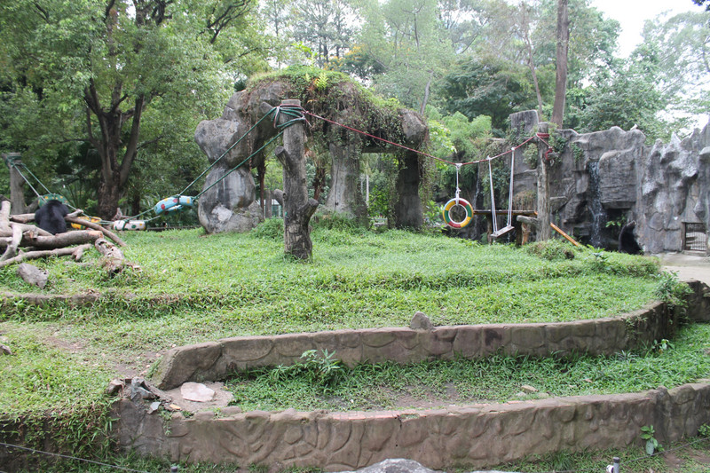 enclosure for Asiatic Black Bears