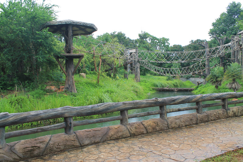 chimpanzee island, Korat Zoo 