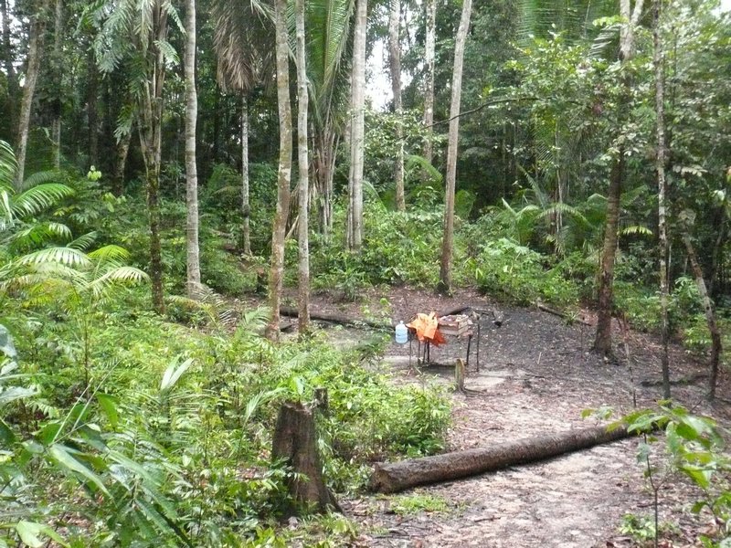 Our small eating area in the jungle