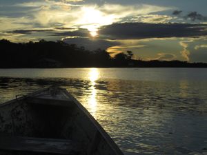 Sun setting in the Amazon rain forest