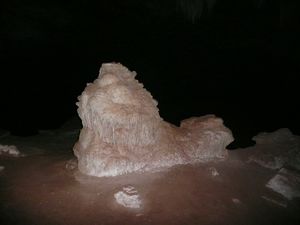 A lion shaped rock