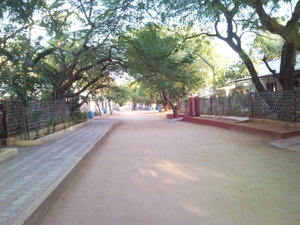 calle principal dentro del campus FVF