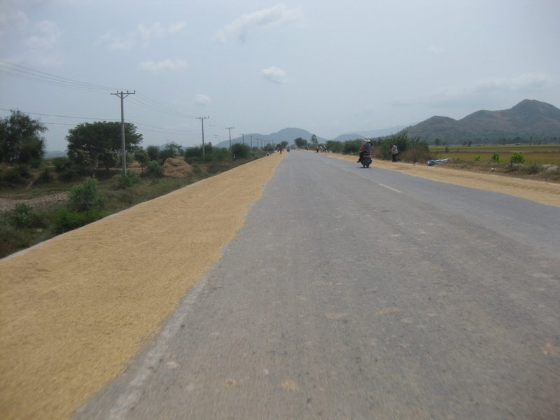 сушене на ориз край пътя