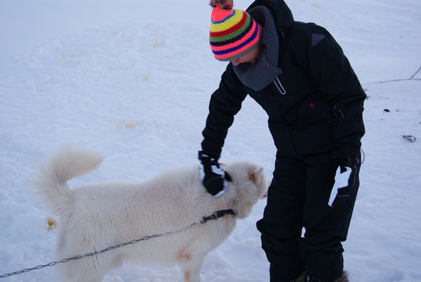 Grønland den 22. januar 2011 083