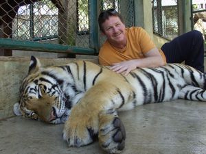 In the Big Tigers Cage