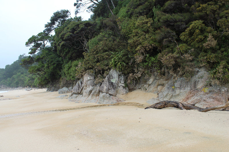 Abel Tasman Coastal Track