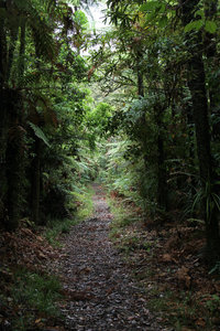 Waitengaue Valley