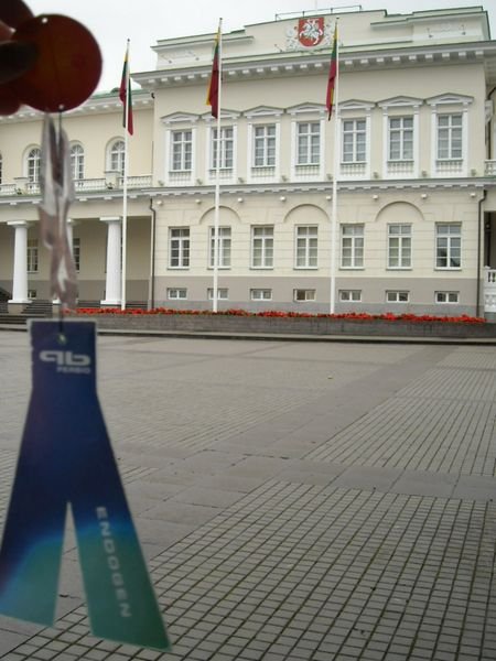 The President's Palace in VIlnius