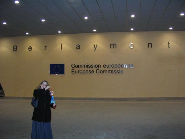 The EU building
