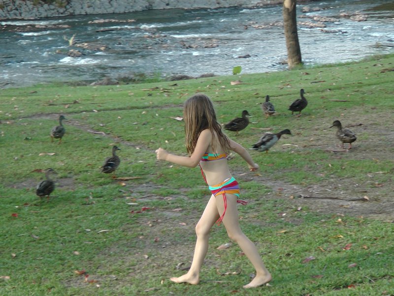 Chasing the ducks