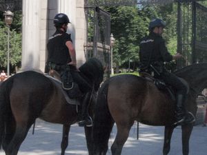 police on horses!