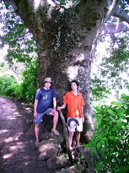 Gabriel et Merlin devant un gros arbre