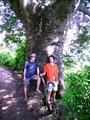 Gabriel et Merlin devant un gros arbre
