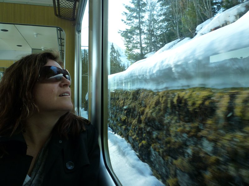 Train through the snow