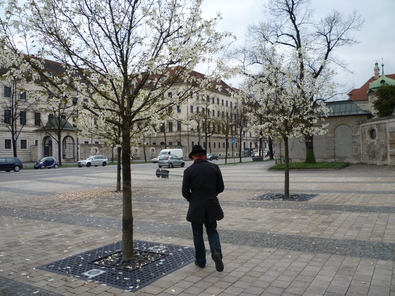 Spring blossoms in Munich