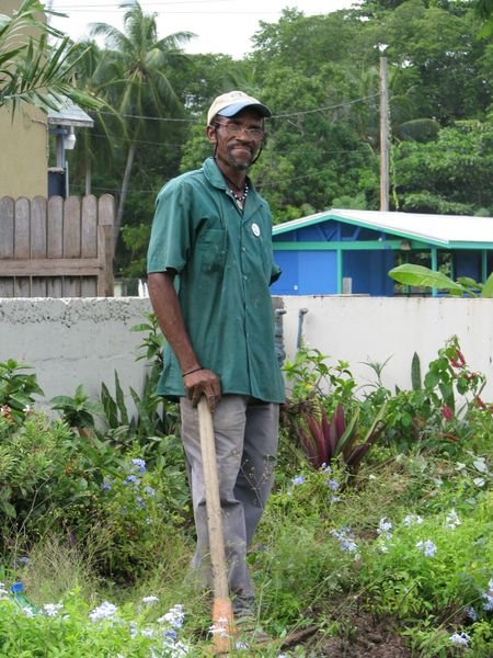 Gardening in Barbados