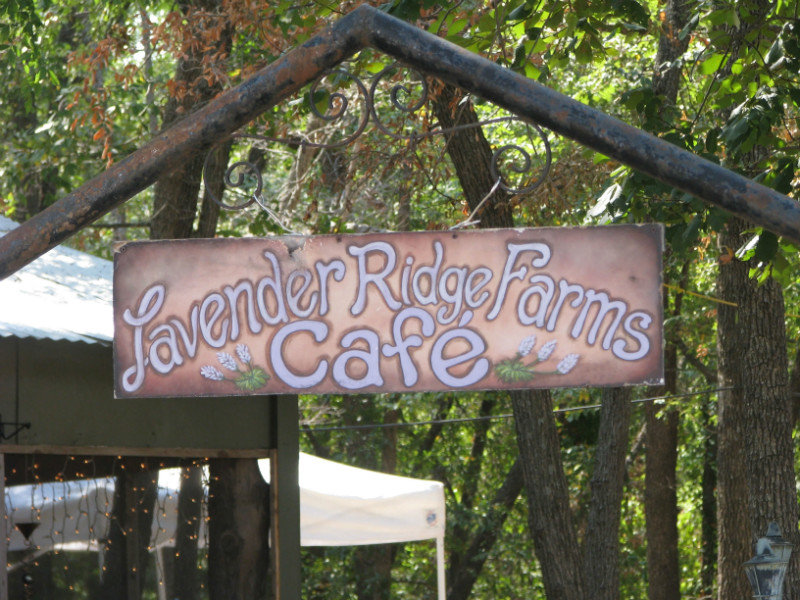 Lavender Ridge Farms