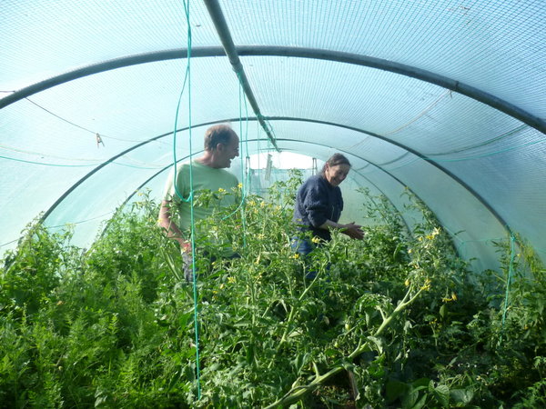 Working out in the sauna (polytunnel)