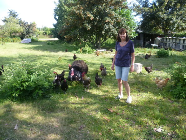 Communing with the poultry