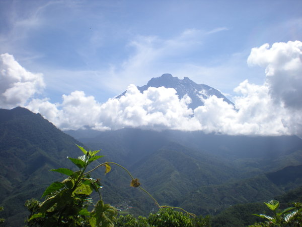 View of Mount Kinabalu (from the bottom!)