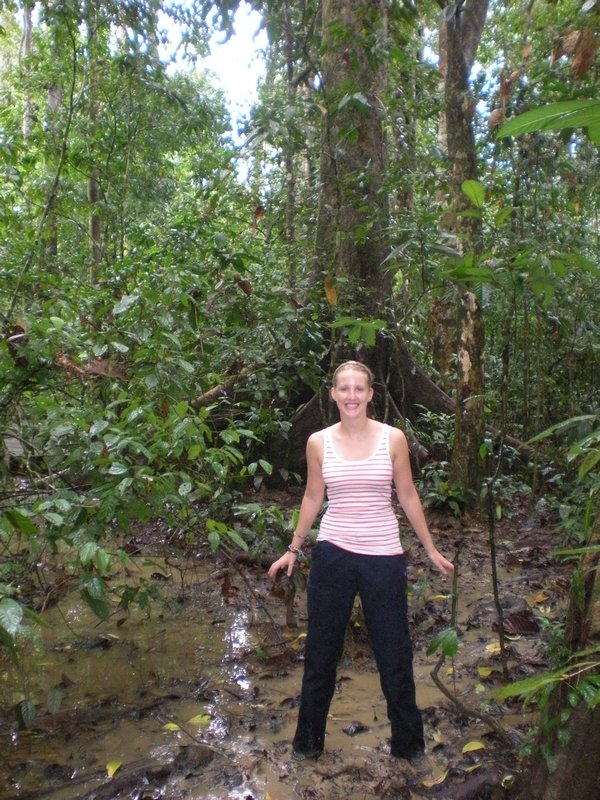 Boggy jungle trail