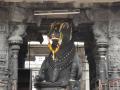 Nandi - der Stier auf dem Shiva reitet