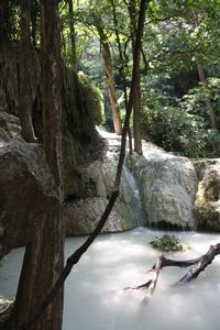 59 Erawan Waterfalls (16)