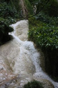 59 Erawan Waterfalls (18)