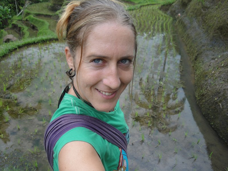 54 Ausflug zu den Reisterassen Tegalalang
