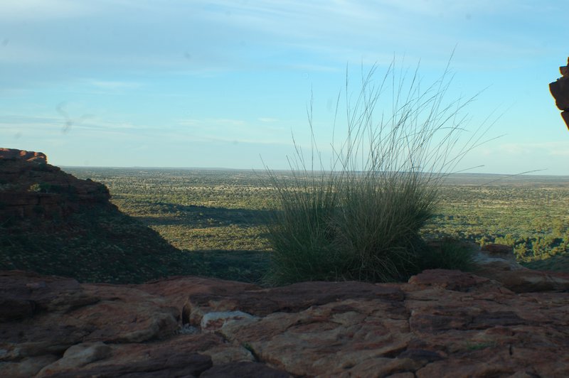 View from Kings Canyon