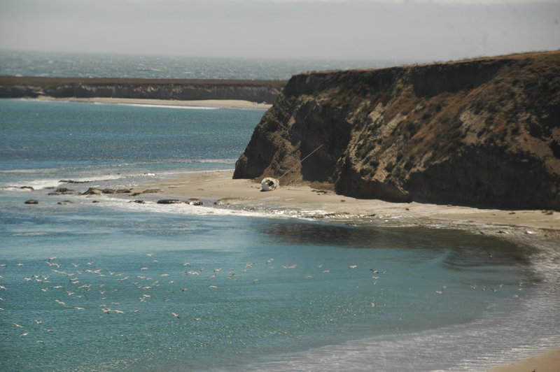 California Beach 2