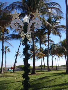 Christmas Decorations, Miami  Photo