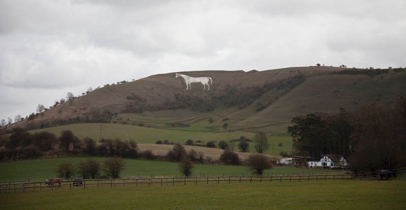 White Horse On A Hillside