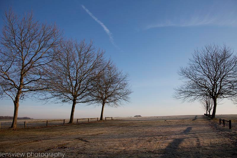 Frosty Morning Walsrode