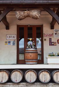 Vineyard Cellar Burgundy