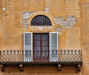 Window - Florence