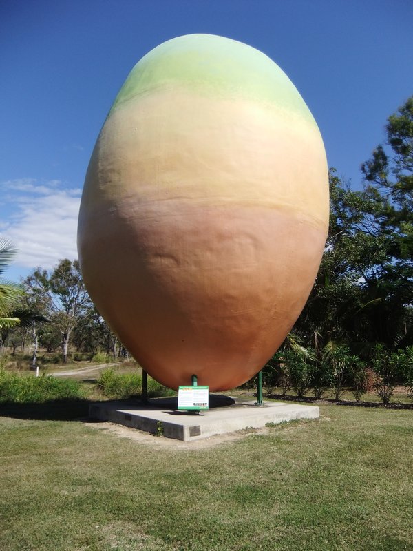 The big Mango