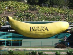 Big banana at coffd