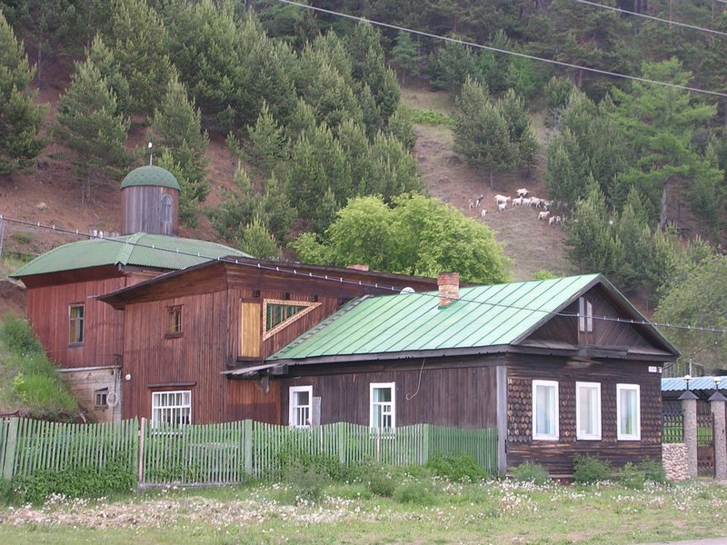 Wooden House and Goats