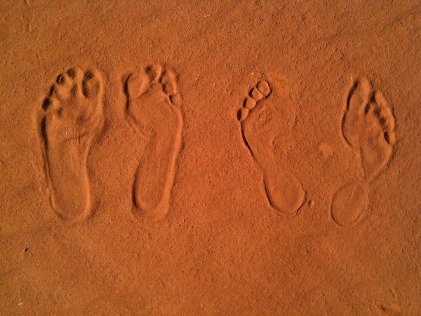 Desert footprints (ours!)
