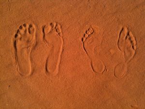 Desert footprints (ours!)
