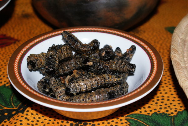 Dinner - Mopani Worms