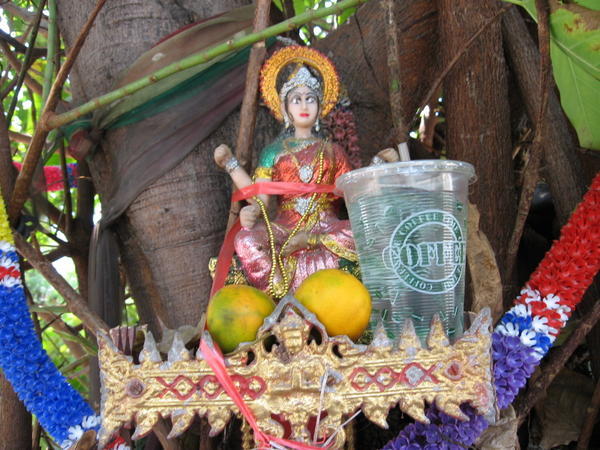 Altar In Tree of Hindu Goddess