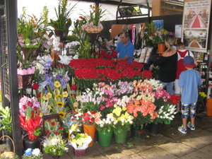 Flowers in Curitiba