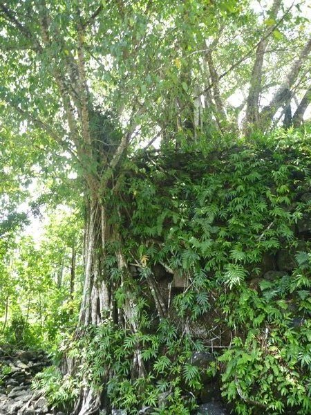 Lelu Ruins, Kosrae