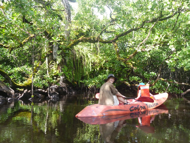 Kayaking the backwaters
