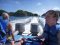 Speed boat from Carp to Koror
