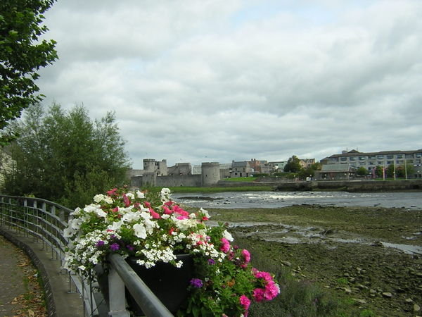 The Shannon, Limerick