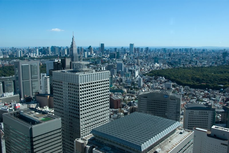 View over Tokyo