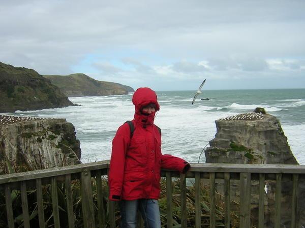 Alex and the Gannet colony.